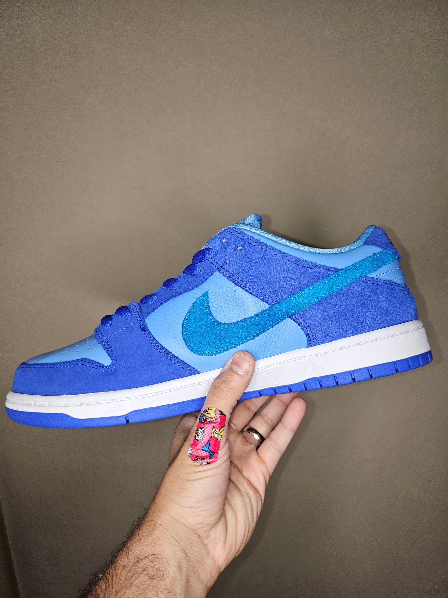 Nike Dunk Low Pro SB Fruity Pack - Blue Raspberry (USED)