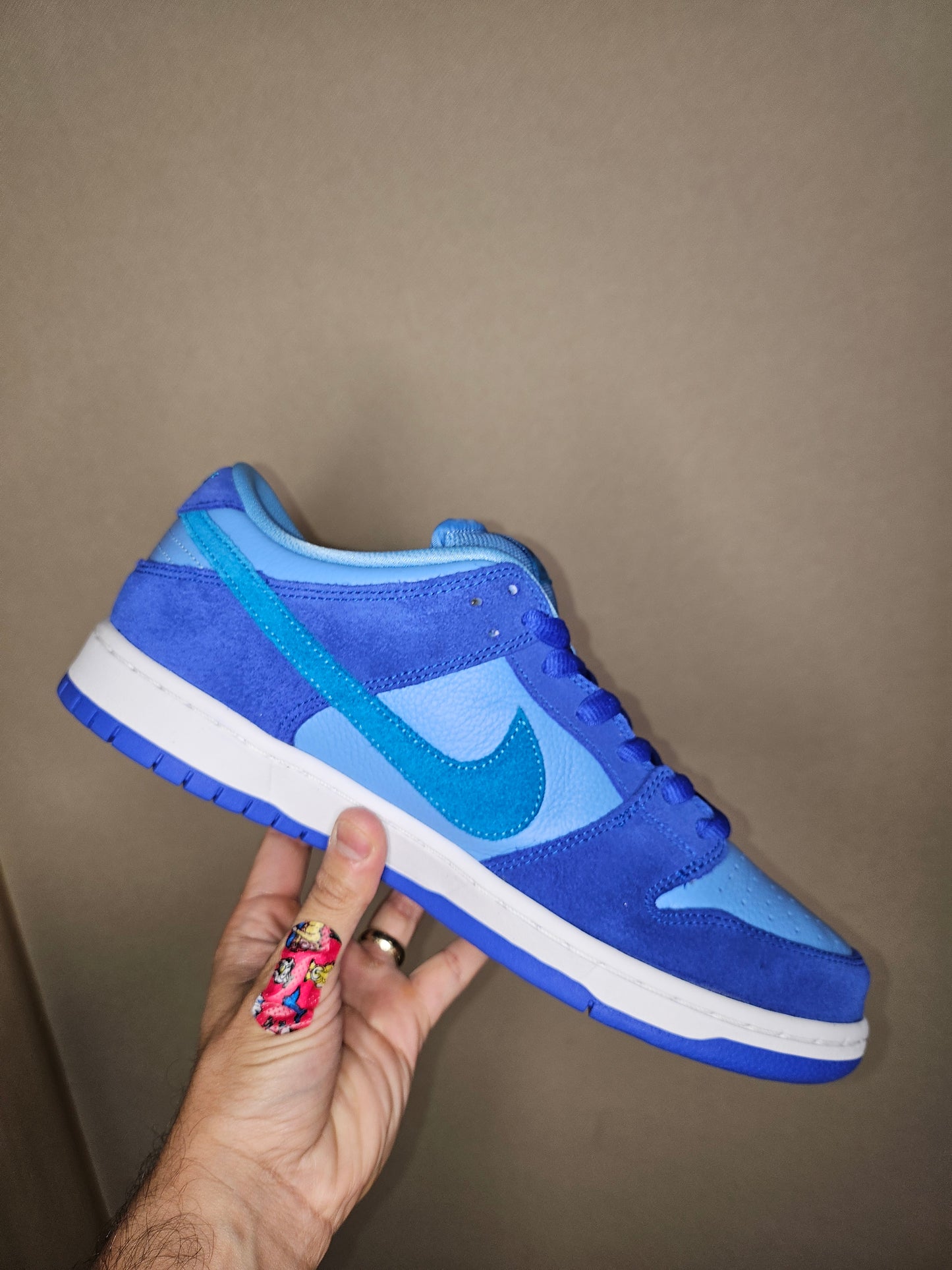 Nike Dunk Low Pro SB Fruity Pack - Blue Raspberry (USED)