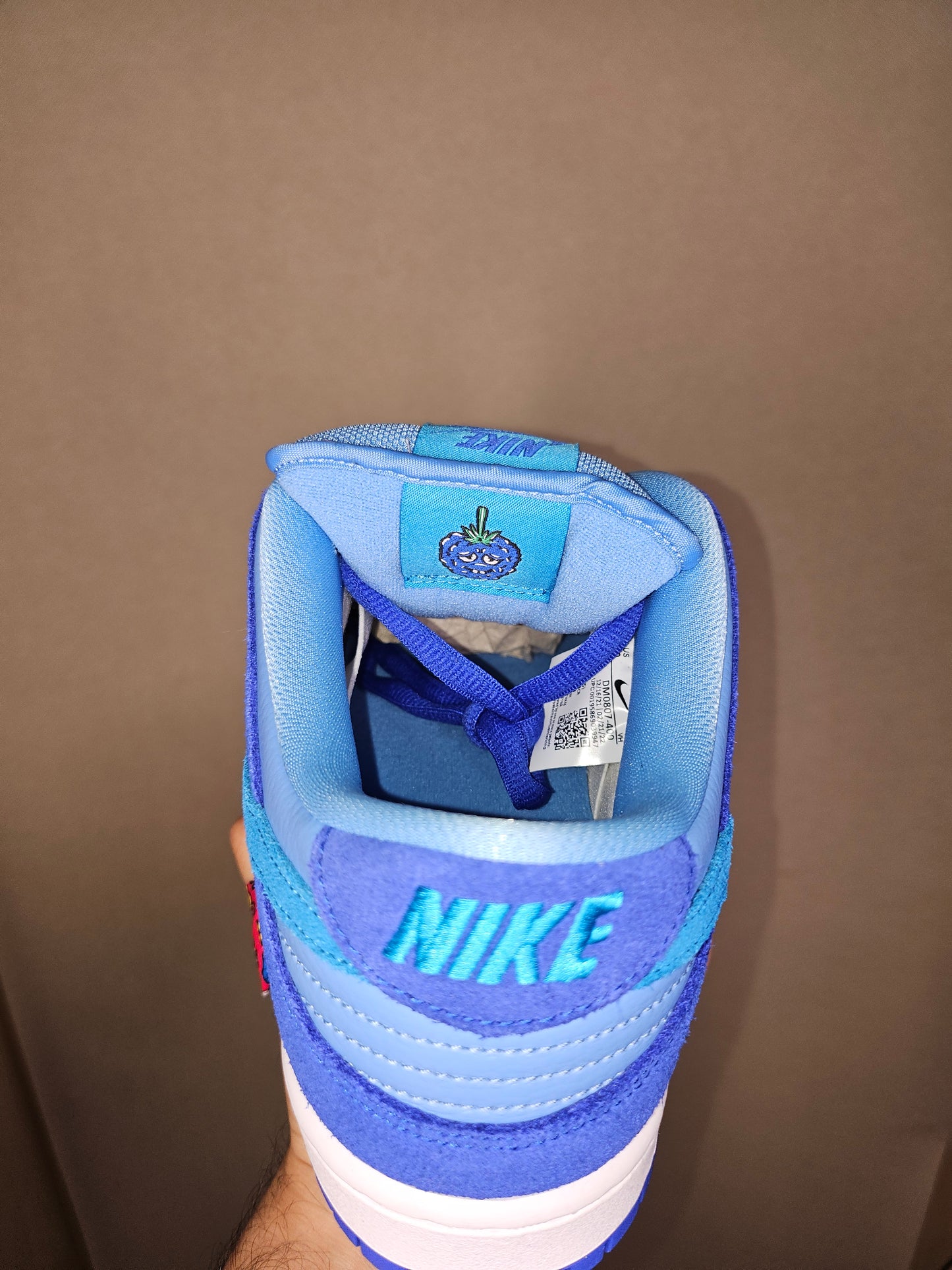 Nike Dunk Low Pro SB Fruity Pack - Blue Raspberry (USED)